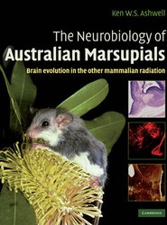 The Neurobiology of Australian Marsupials