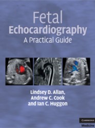 Fetal Echocardiography