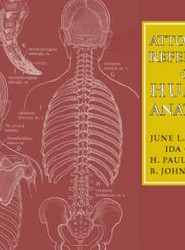Attorney's Reference on Human Anatomy