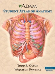 A.D.A.M. Student Atlas of Anatomy
