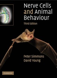 Nerve Cells and Animal Behaviour