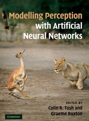 Modelling Perception with Artificial Neural Networks