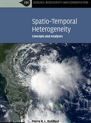 Spatio-Temporal Heterogeneity