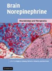 Brain Norepinephrine