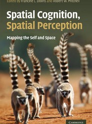 Spatial Cognition, Spatial Perception