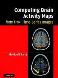 Computing Brain Activity Maps from fMRI Time-Series Images