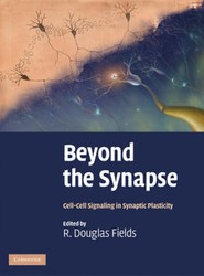 Beyond the Synapse
