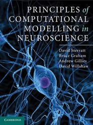 Principles of Computational Modelling in Neuroscience
