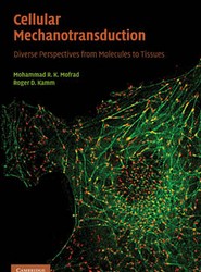Cellular Mechanotransduction