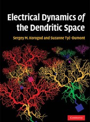Electrical Dynamics of the Dendritic Space