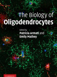 The Biology of Oligodendrocytes