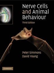 Nerve Cells and Animal Behaviour