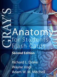 Gray's Anatomy for Students Flash Cards