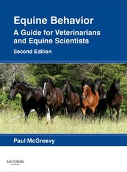Equine Behavior