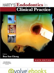 Harty's Endodontics in Clinical Practice