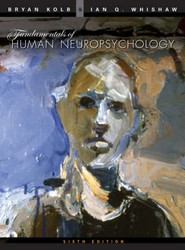 Fundamentals of Human Neuropsychology