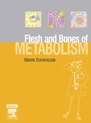 The Flesh and Bones of Metabolism