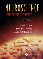 Neuroscience