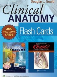 Clinical Anatomy Flash Cards