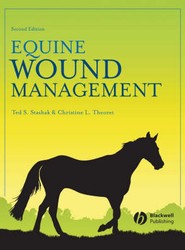 Equine Wound Management