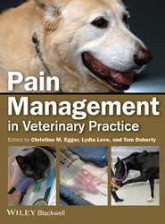 Pain Management in Veterinary Practice