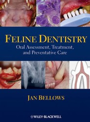 Feline Dentistry