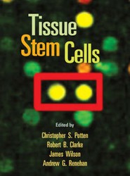 Tissue Stem Cells