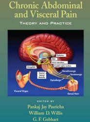 Chronic Abdominal and Visceral Pain