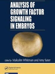 Analysis of Growth Factor Signaling in Embryos