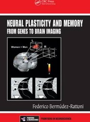 Neural Plasticity and Memory