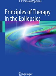 Principles of Therapy in the Epilepsies