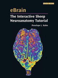 EBrain: The Interactive Sheep Neuroanatomy Tutorial