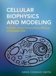 Cellular Biophysics and Modeling
