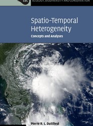 Spatio-Temporal Heterogeneity