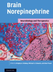 Brain Norepinephrine