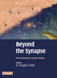 Beyond the Synapse