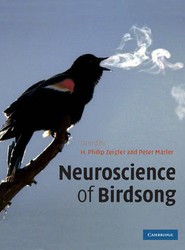 Neuroscience of Birdsong