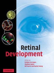Retinal Development