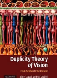 Duplicity Theory of Vision
