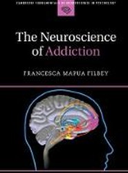 The Neuroscience of Addiction