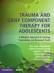 Trauma and Grief Component Therapy for Adolescents