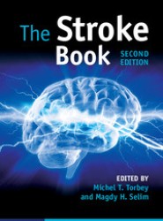 The Stroke Book