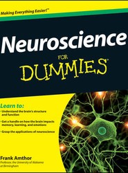 Neuroscience For Dummies