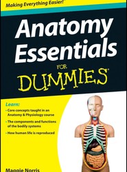 Anatomy Essentials For Dummies