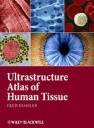 Ultrastructure Atlas of Human Tissues