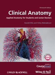 Clinical Anatomy