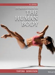 Introduction to the Human Body
