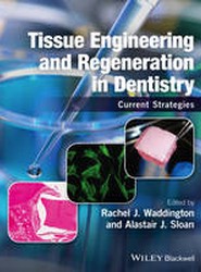 Tissue Engineering and Regeneration in Dentistry - Current Strategies