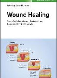 Wound Healing - Stem Cells Repair and Restorations , Basic and Clinical Aspects