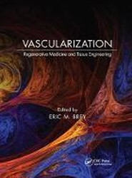 Vascularization
